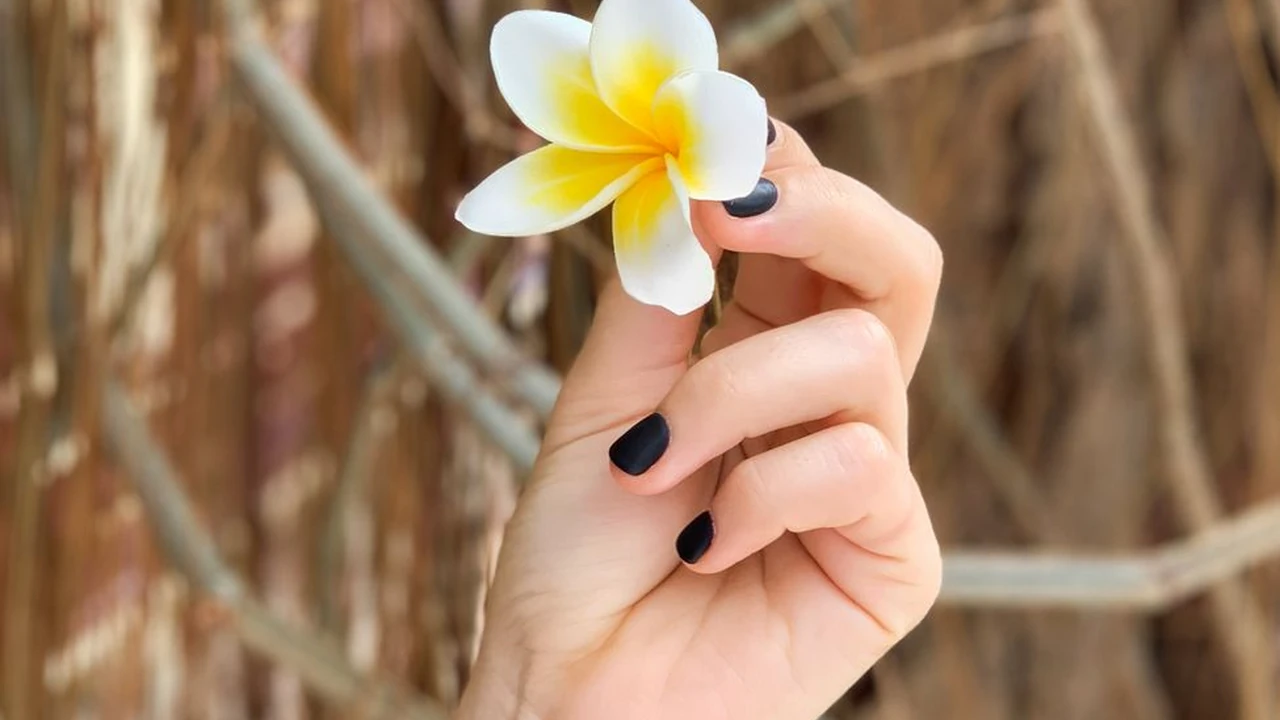 张三先生的好色嘴巴使用指南与常见问题排查